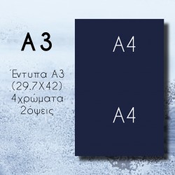 Forms A3 (29.7X42) 4 colors...